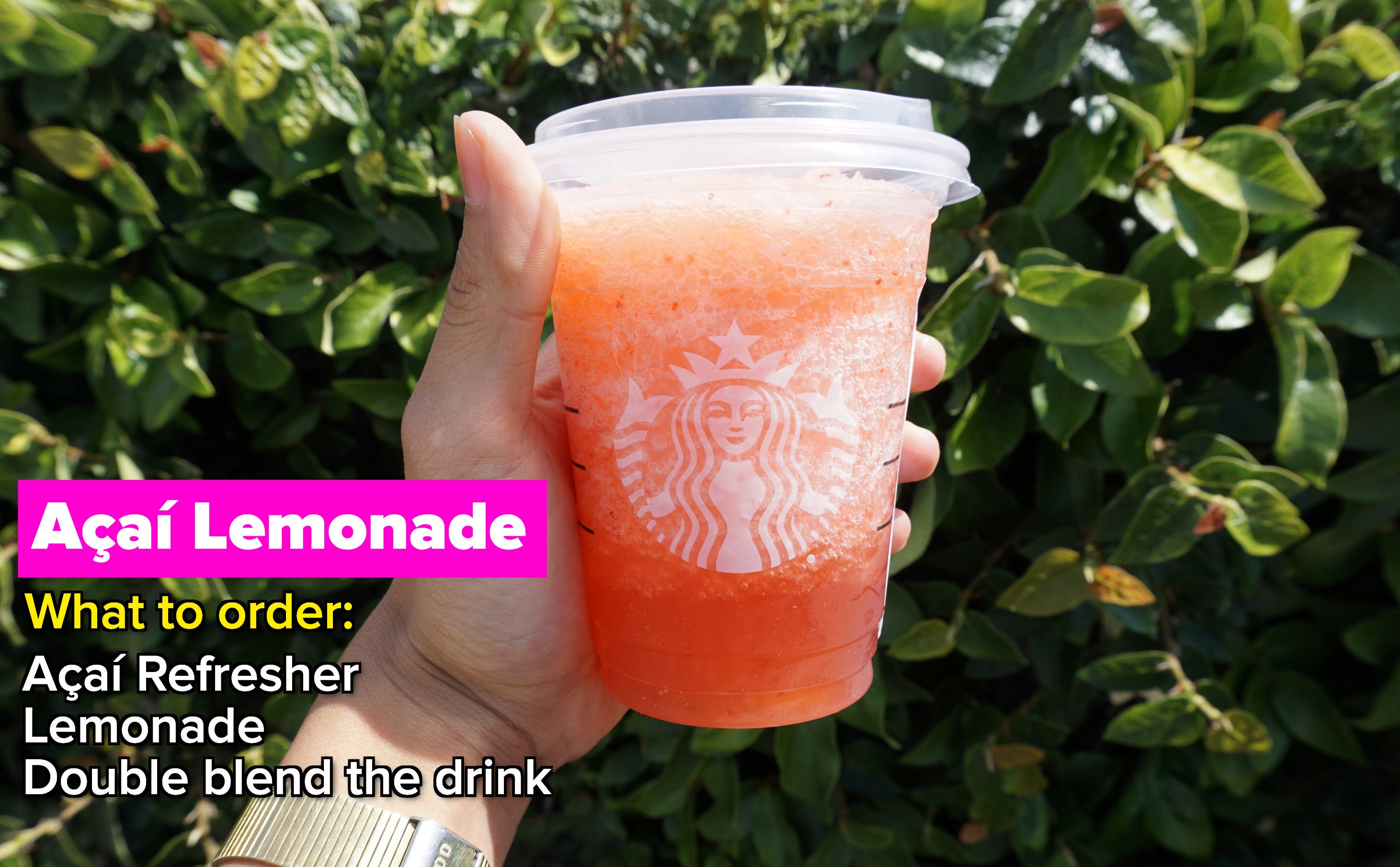 Starbucks Acai Lemonade Refresher drink