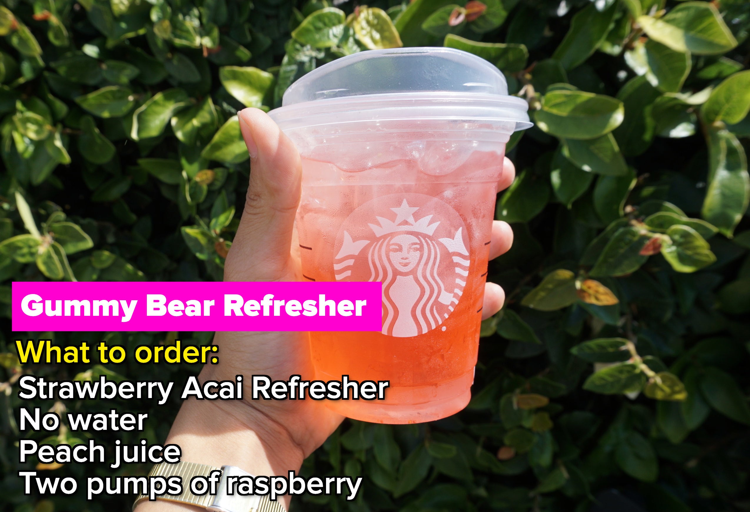 Starbucks Gummy Bear Refresher drink