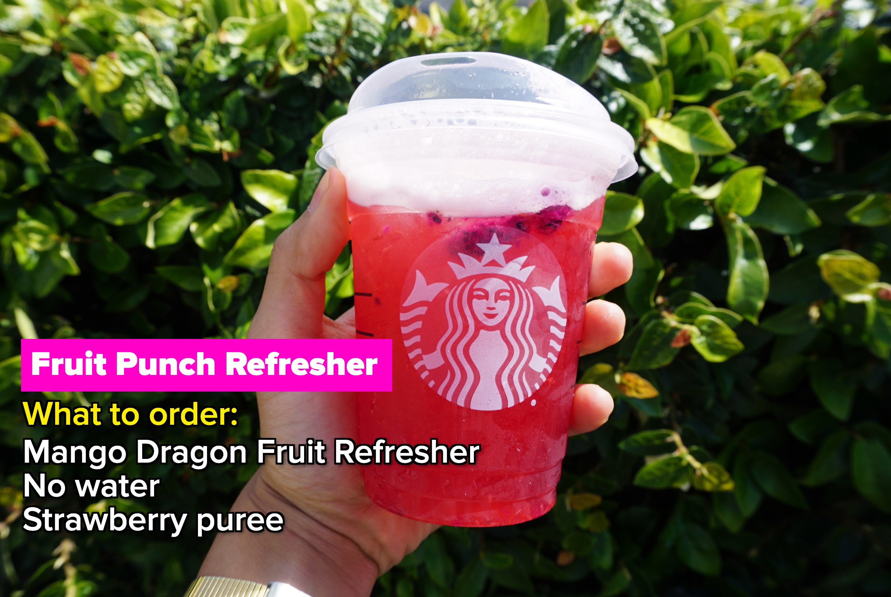 Starbucks Fruit Punch Refresher drink