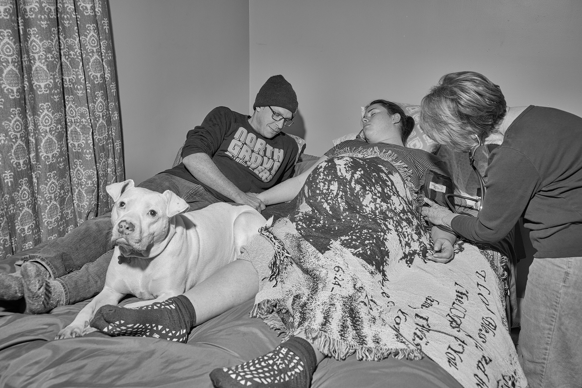 A pregnant woman in bed with her partner and dog while a midwife attends to her