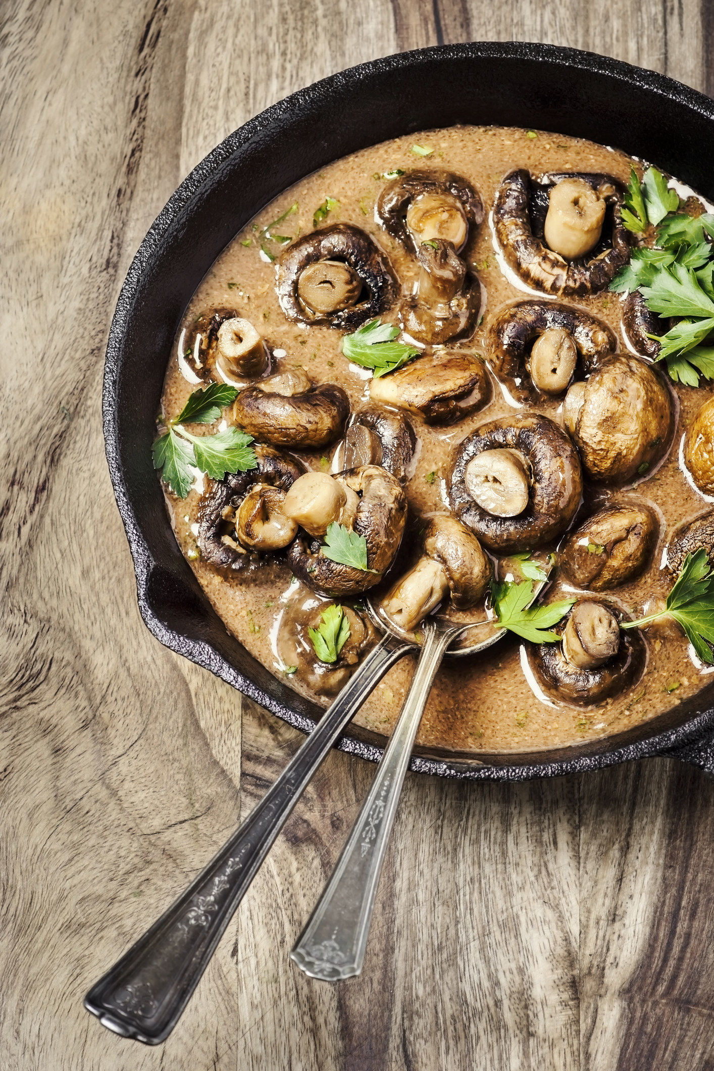 Mushroom sauce in a pan