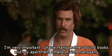 Gif of Will Ferrell in &quot;Anchorman&quot; saying &quot;I&#x27;m very important. I have many leather-bound books and my apartment smells of rich mahogany.&quot;