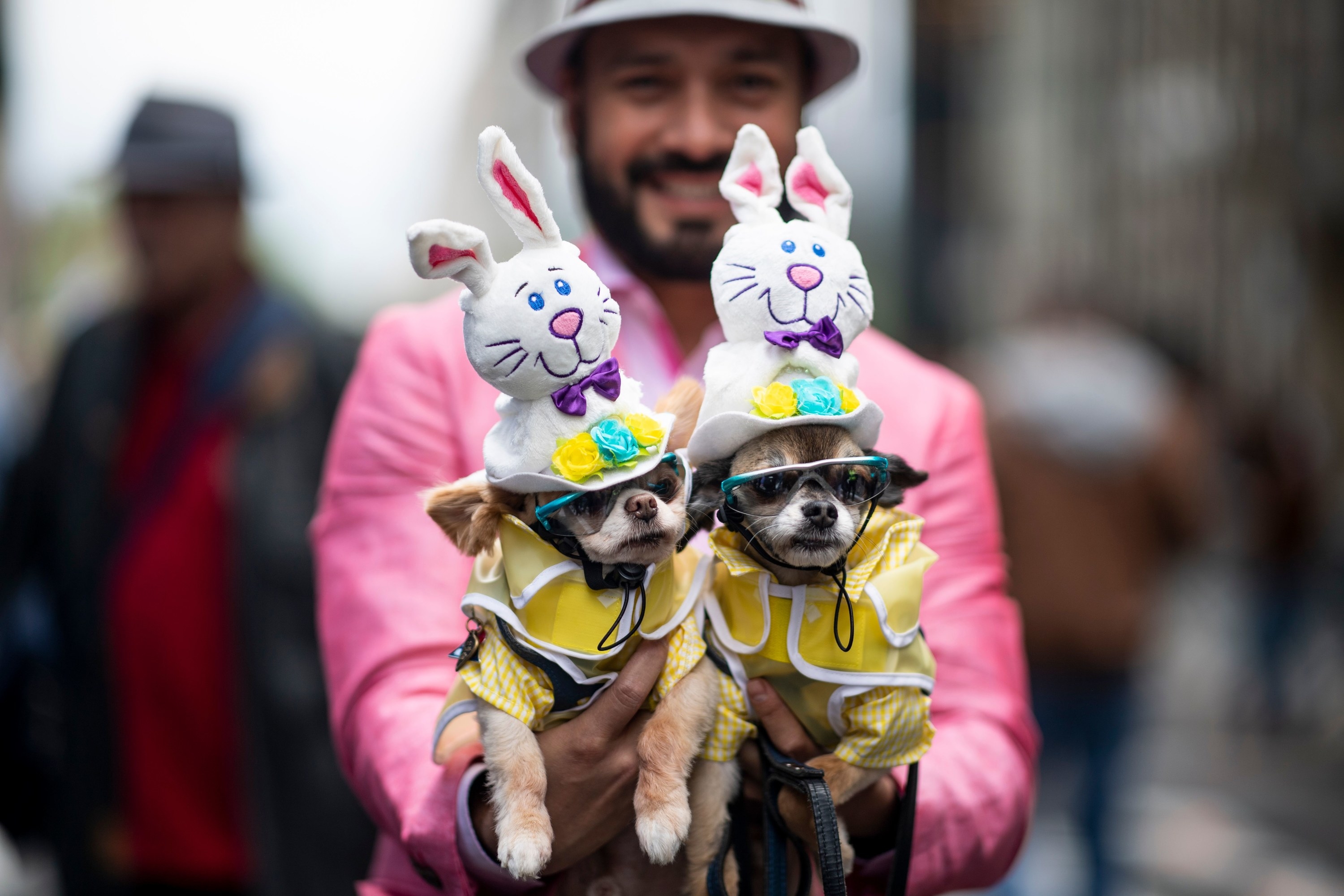 A smiling man holds up two toy dogs wearing jackets, hats, and sunglasses