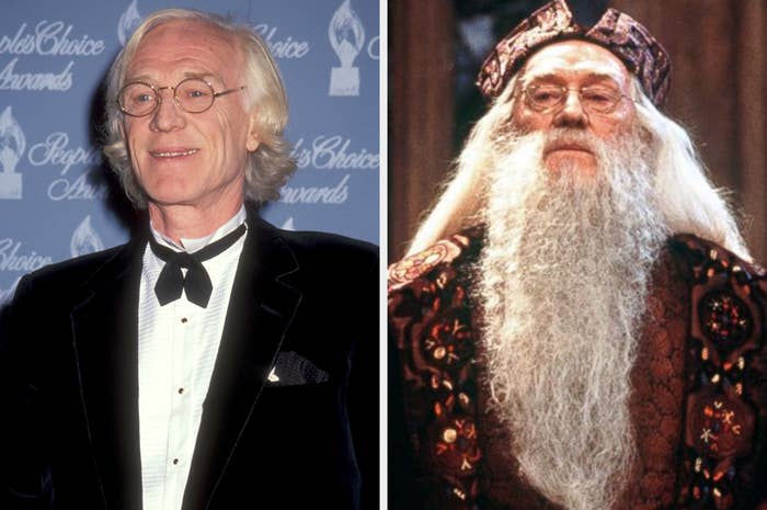 10 Famous Actors Were Almost Cast in 'Harry Potter' Roles