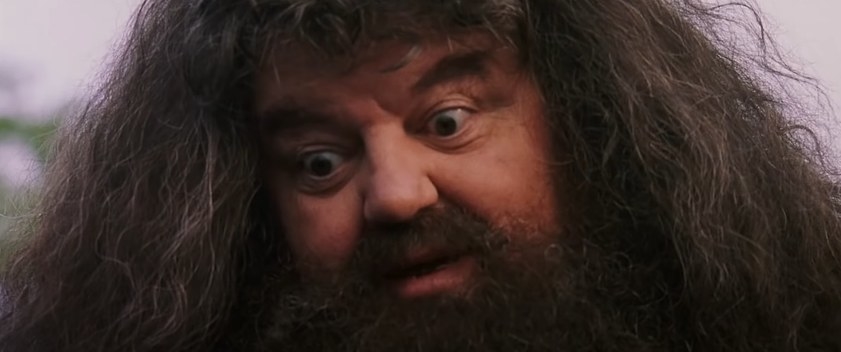 Hagrid wide-eyed