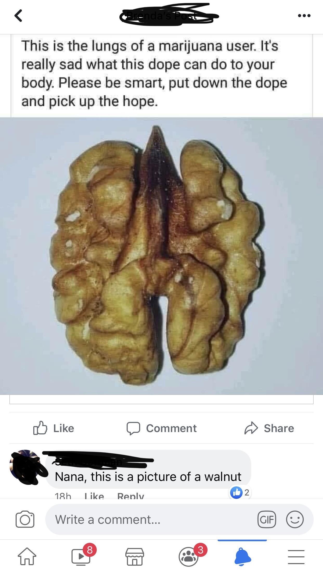boomer thinking a walnut is lungs