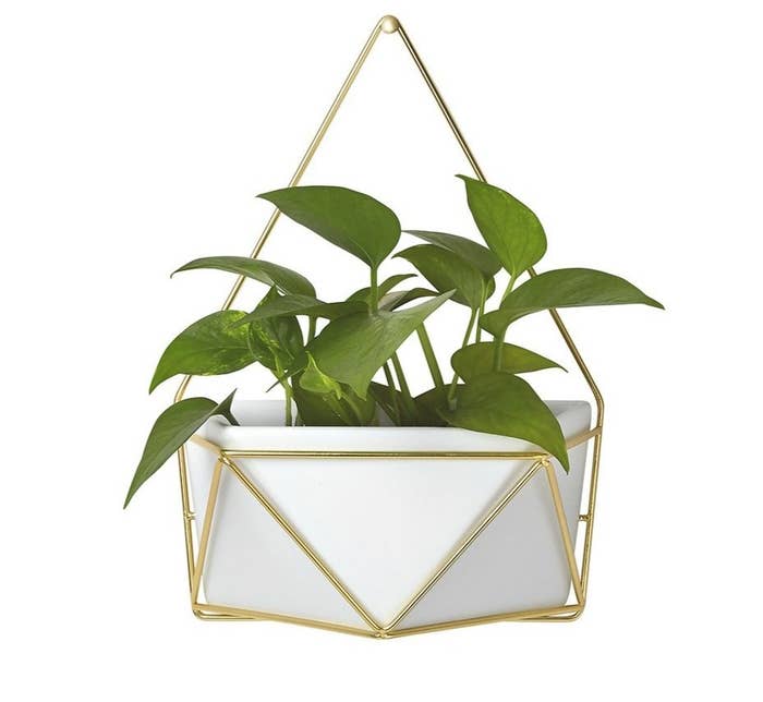 A white/gold geometric hanging wall planter