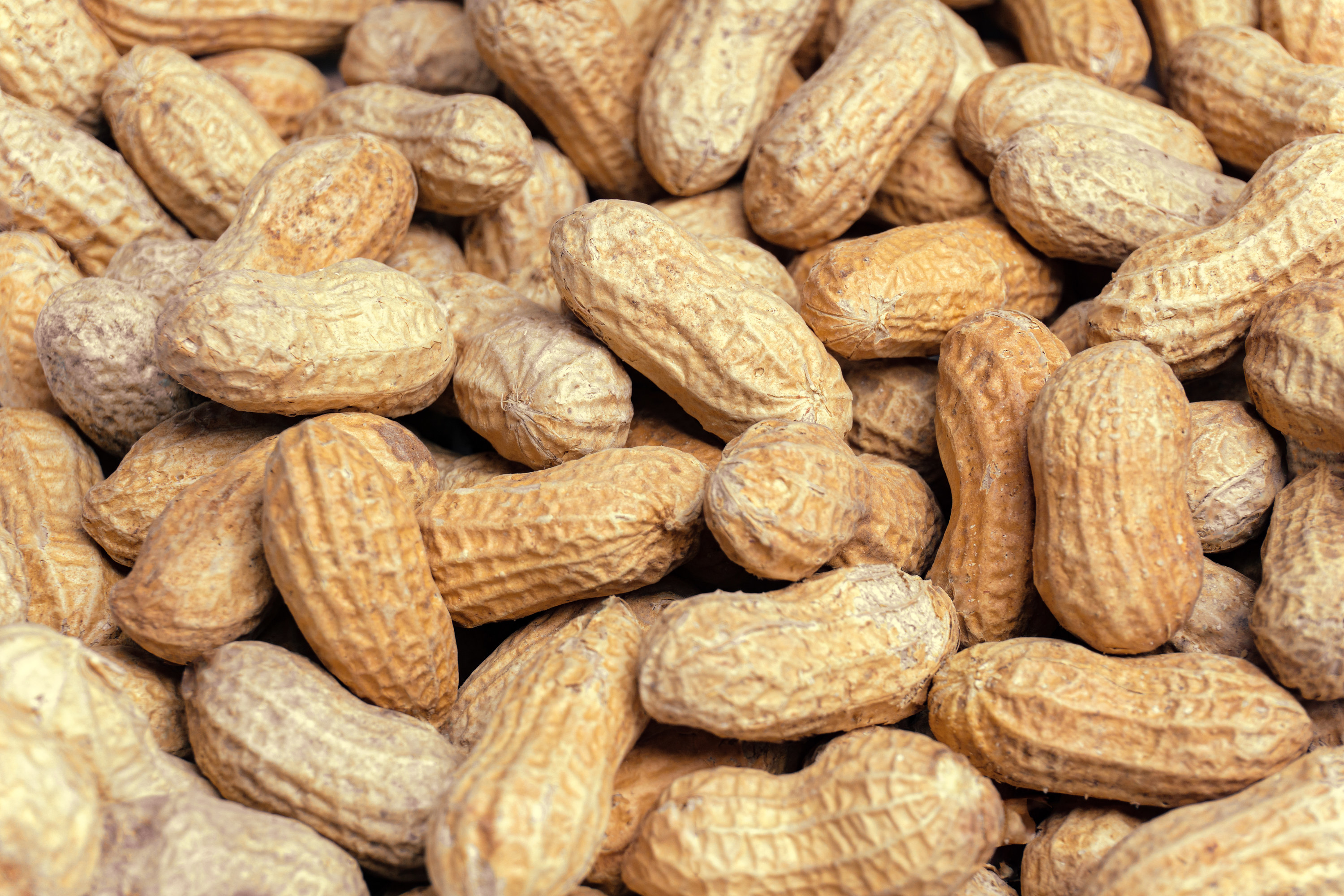 A close-up of peanuts