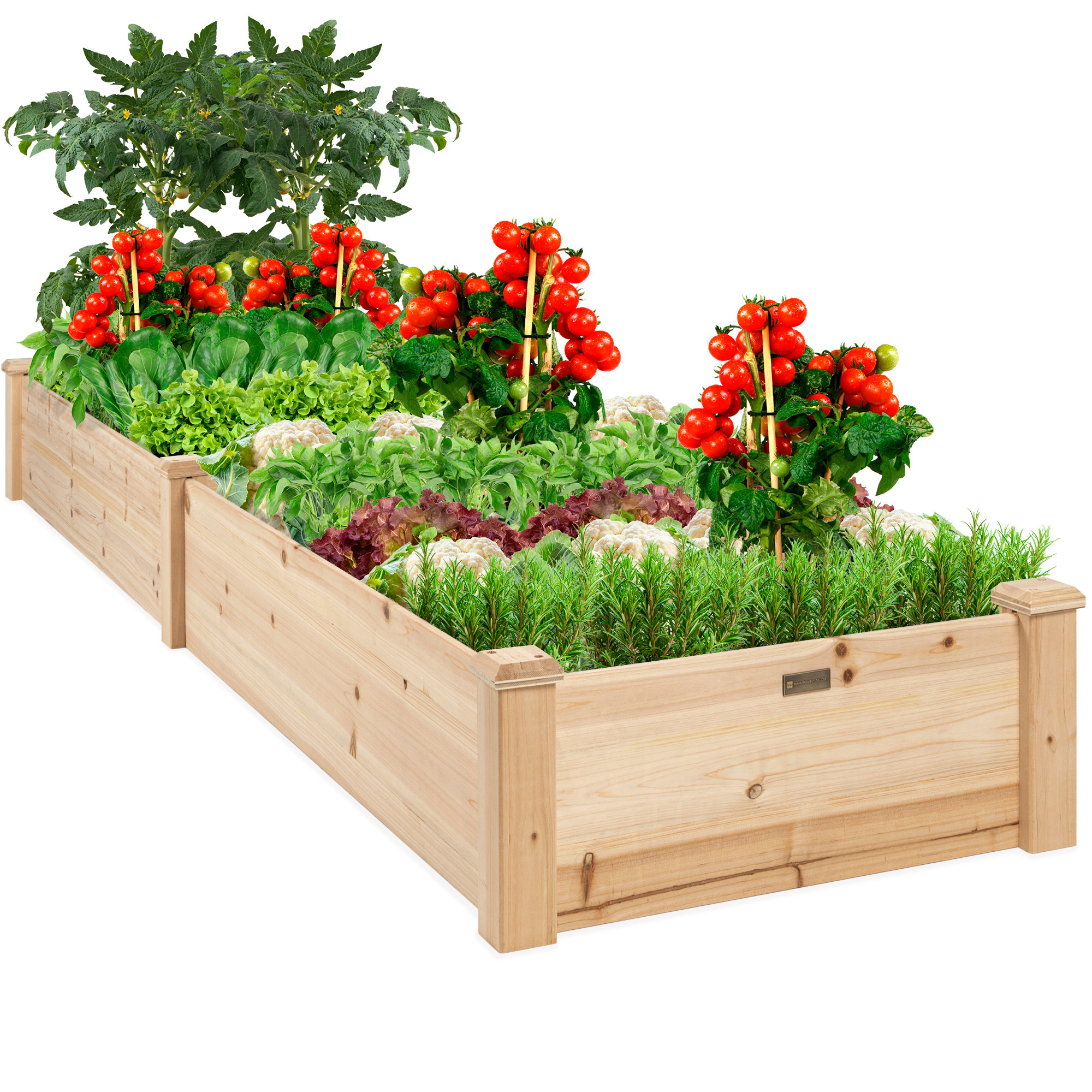 wood raised garden beds full of vegetables