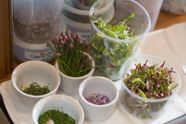 herbs in mise en place bowls before cooking