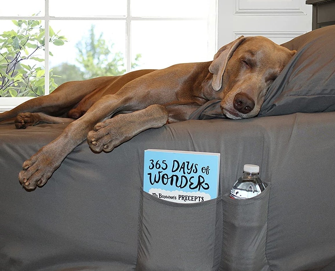 a dog sleeping on the sheets with a water bottle and book tucked into the pockets
