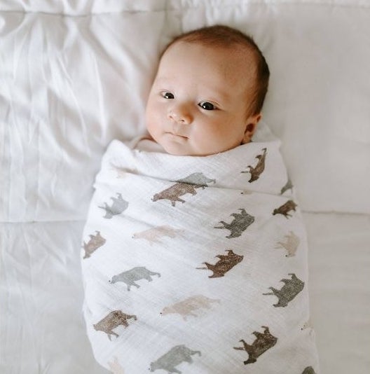 Baby in swaddle