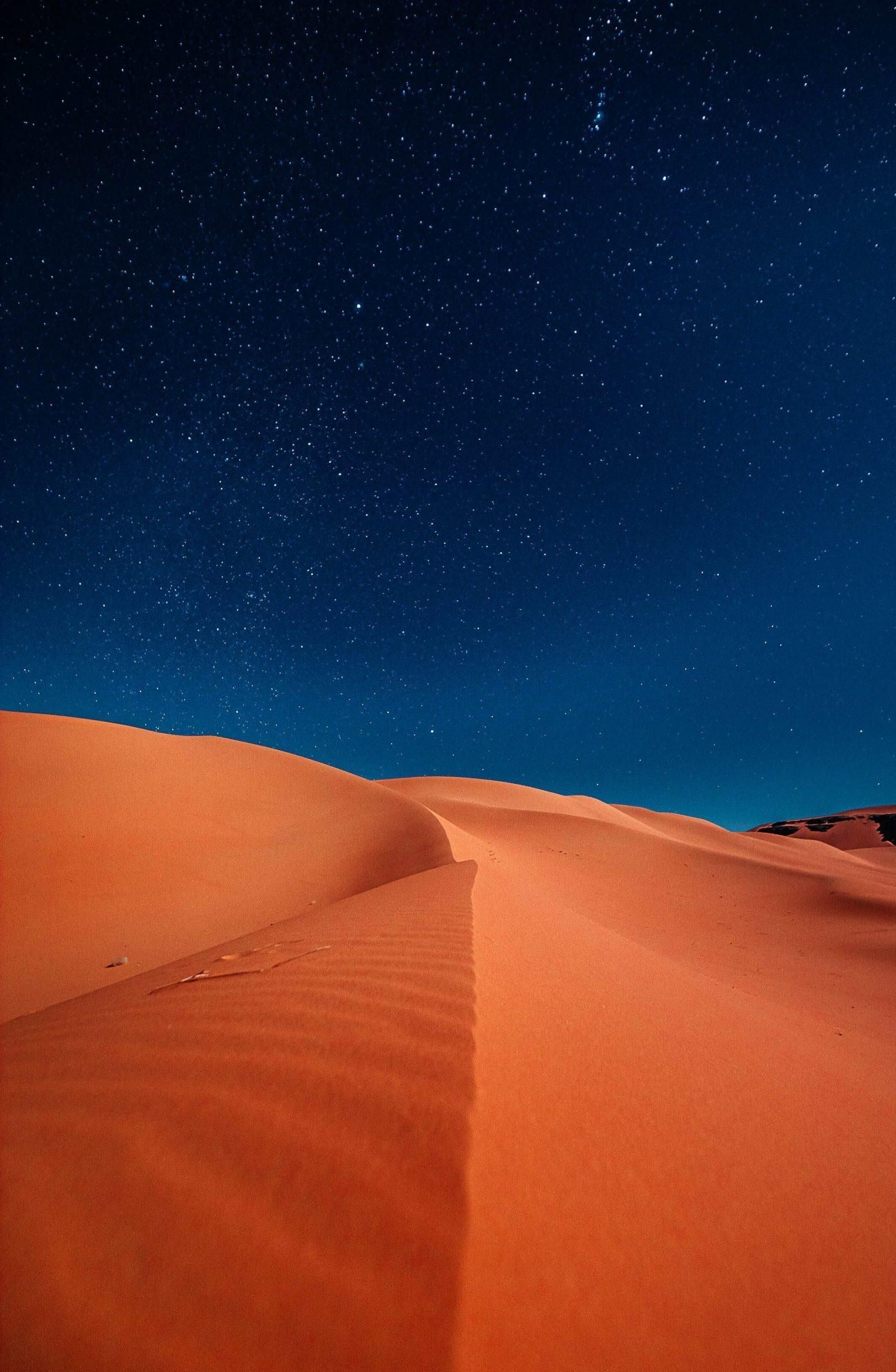 The Sahara desert at night.