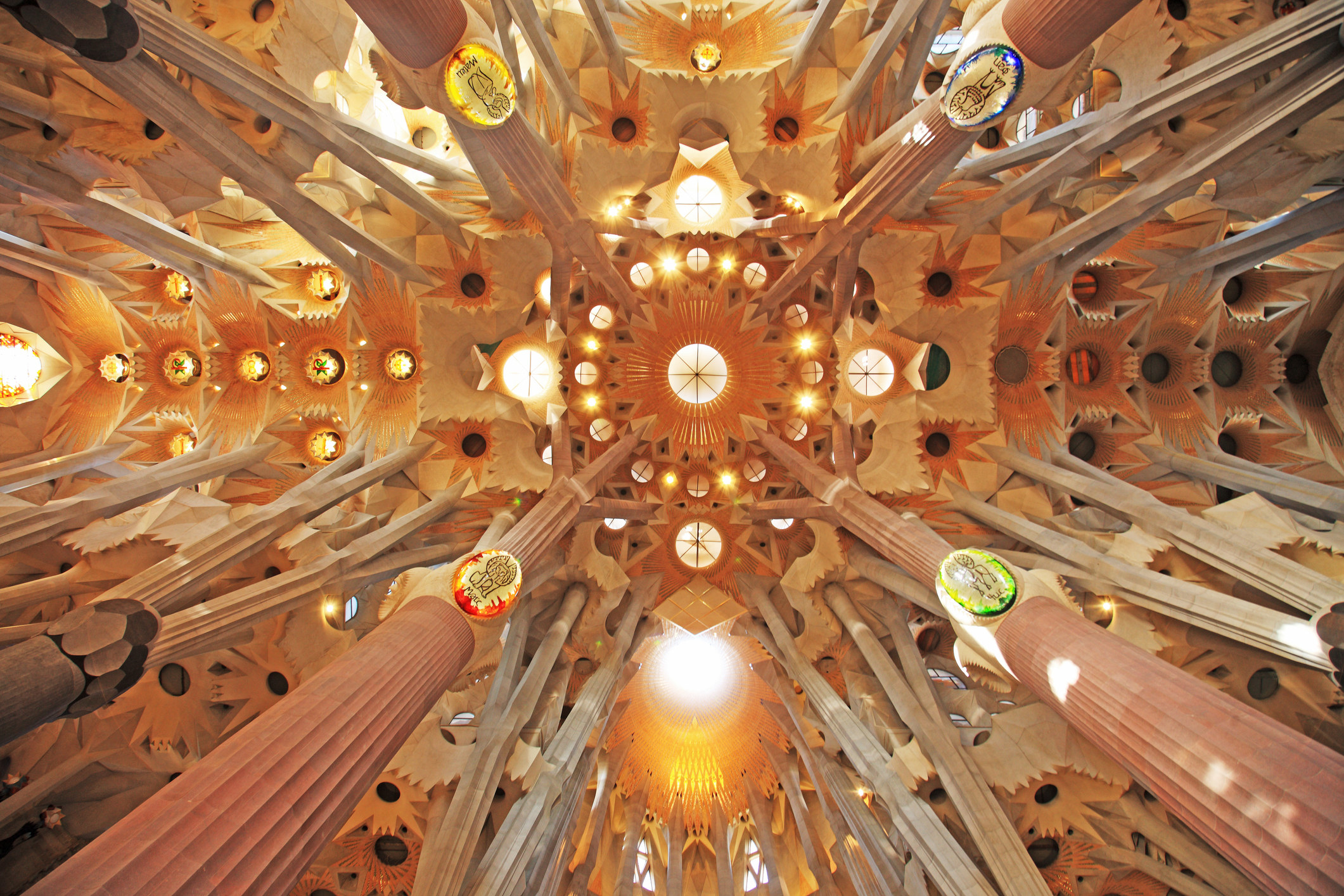 The ceiling of the Sagrada Familia Cathedral.