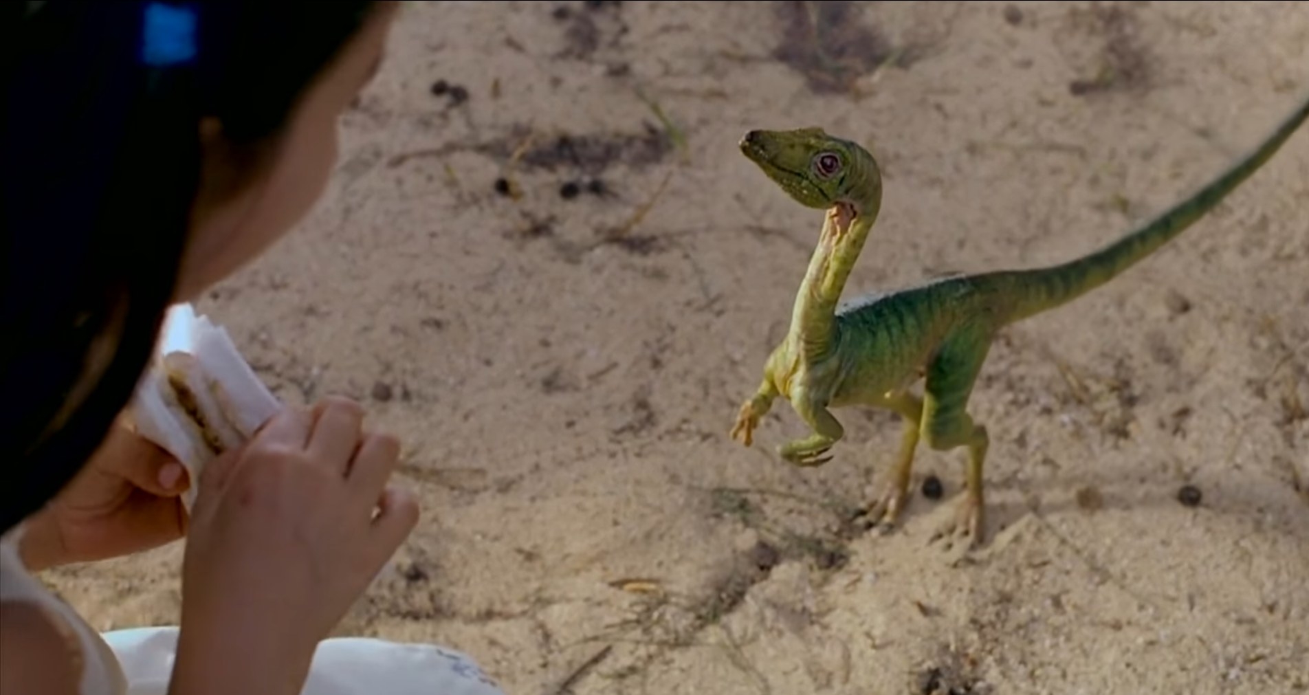 A child kneels down and gives food to a small lizard-like dinosaur