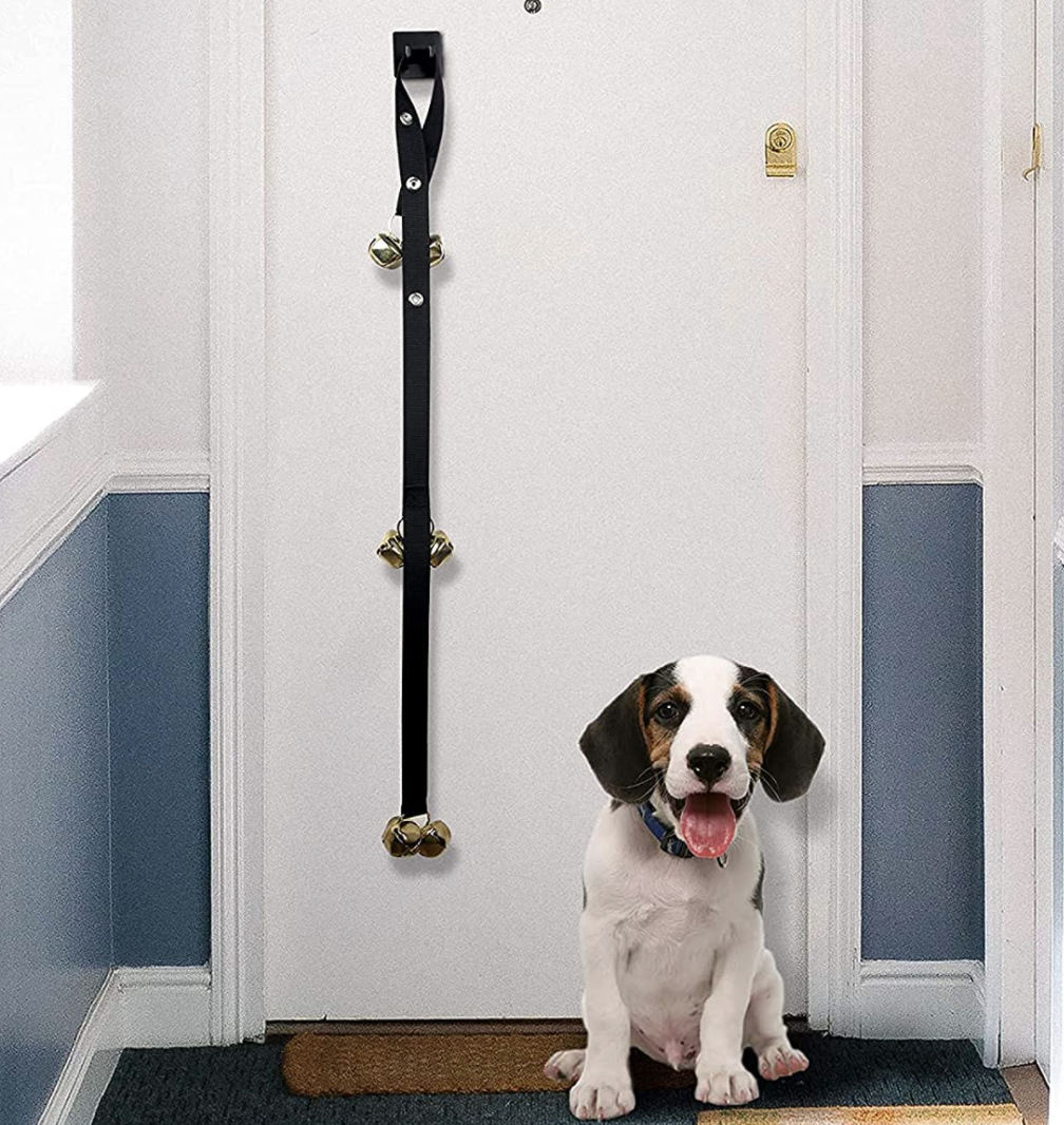 A puppy sits on the floor next to a closed door with the bells hanging from it