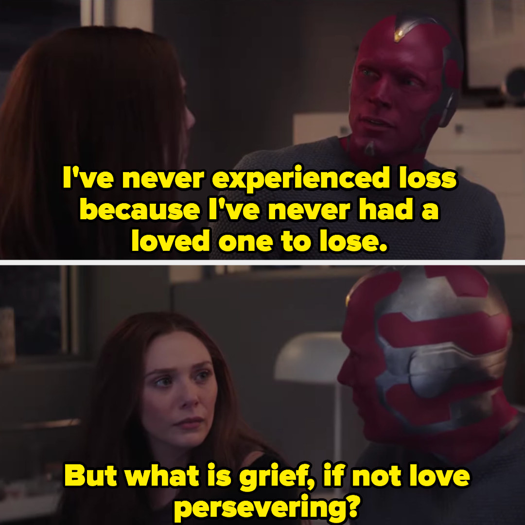 Vision telling Wanda, &quot;But what is grief, if not love persevering?&quot;
