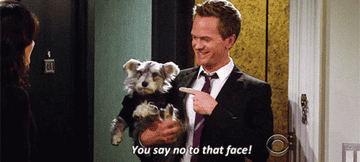 Neil Patrick Harris as Barney Stinson in &quot;How I Met Your Mother&quot;, holding a dog wearing a suit and saying, &quot;You say no to that face&quot; while pointing at it