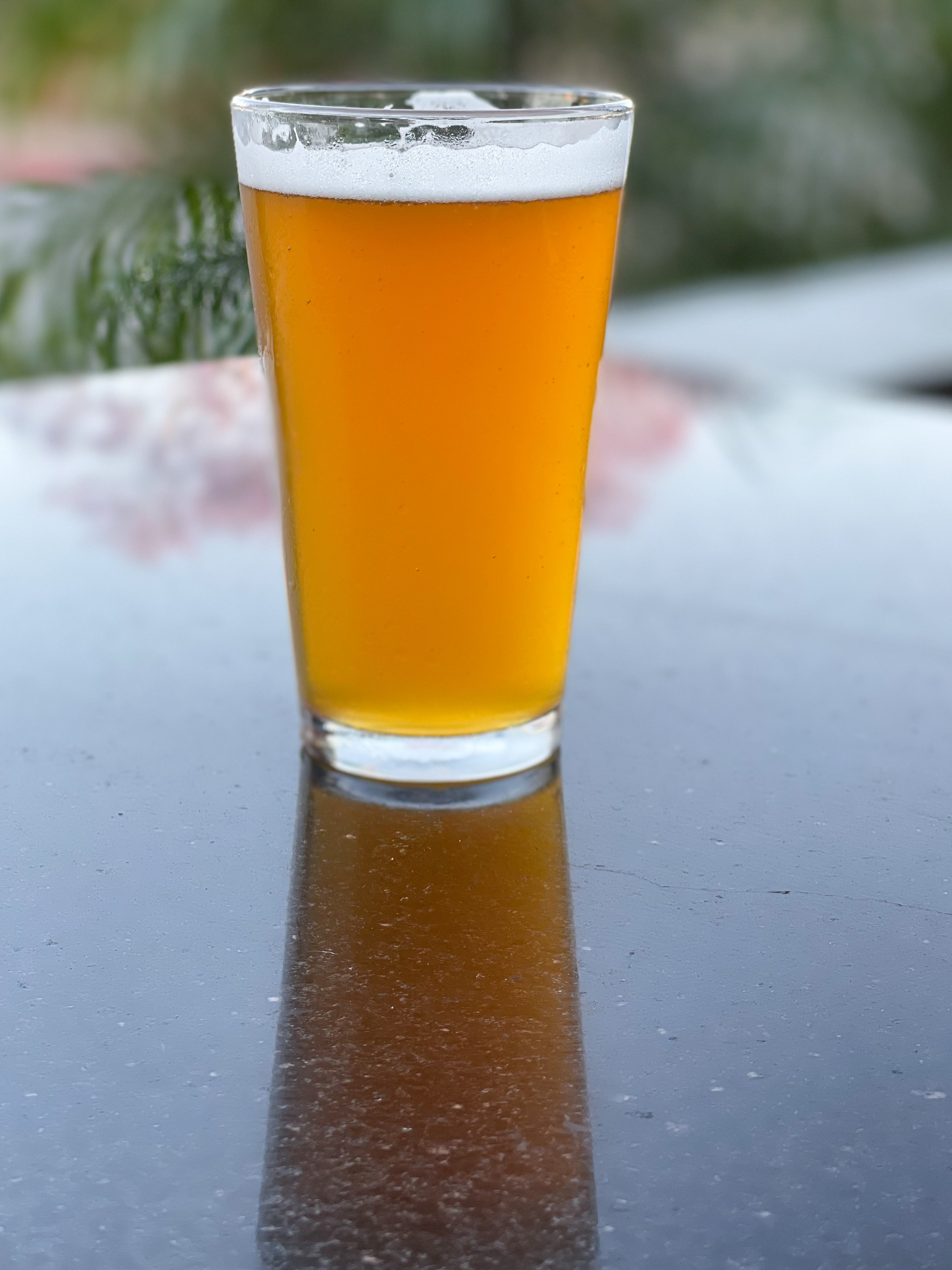 A glass of beer