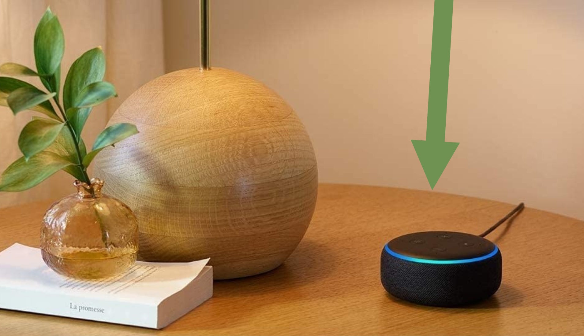 The Echo Dot in black