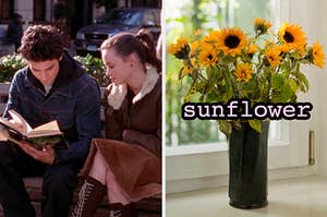 On the left, Jess and Rory from Gilmore Girls sitting outside on a bench looking at a book, and on the right, some sunflowers in a vase on a windowsill
