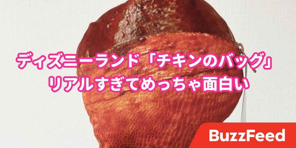思わず5度見しちゃったよ ディズニーのお土産 これが正解だわ