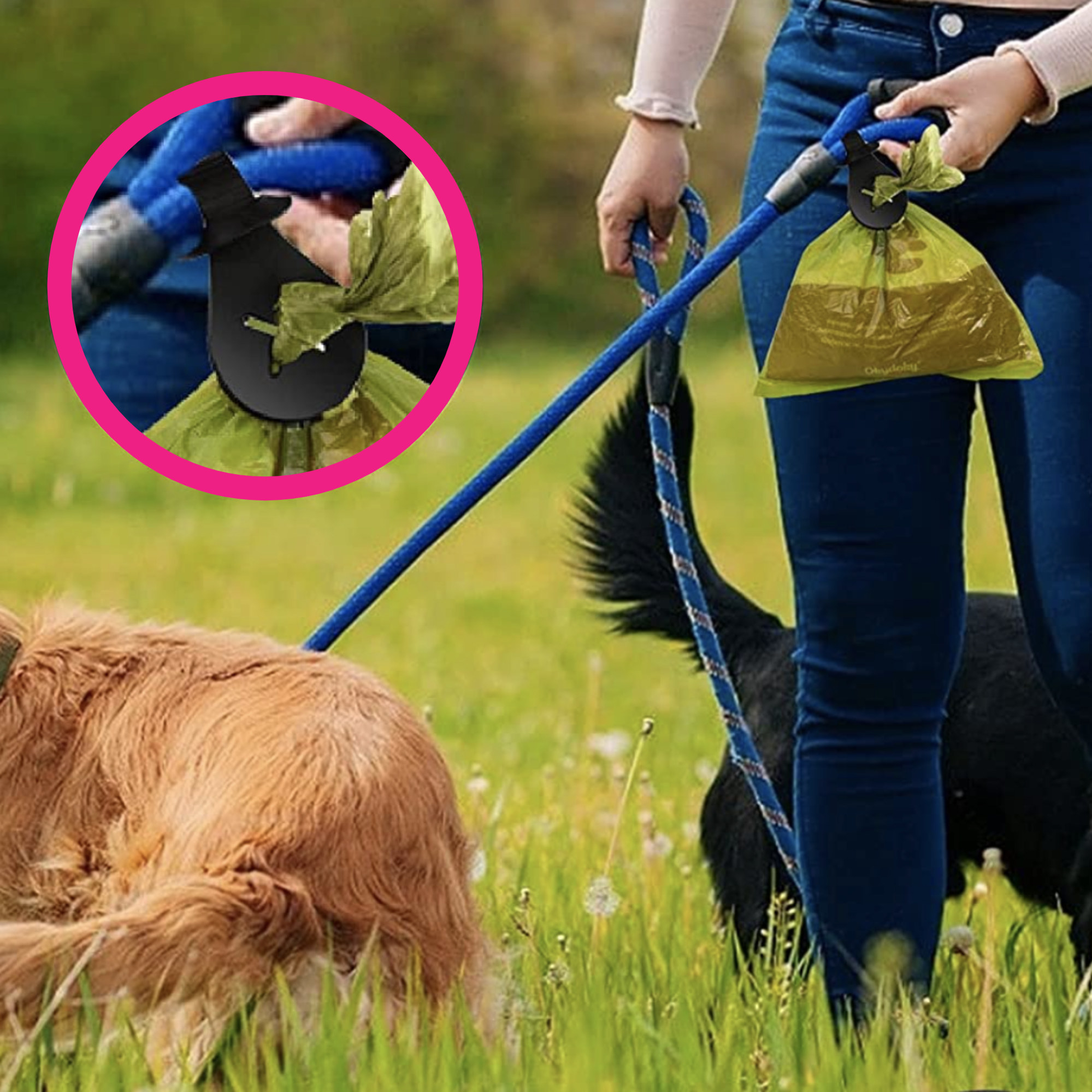 Someone walking their dog in a field, with the holder attached to the leash and a waste bag dangling from it