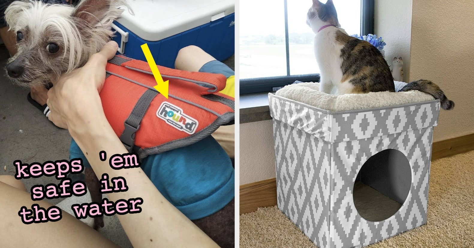 23 Best Amazon Canada Pet Products That You Should Buy