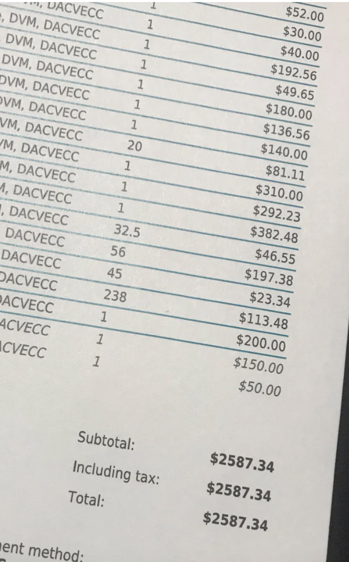 An itemized bill from a DVM totaling $2,587