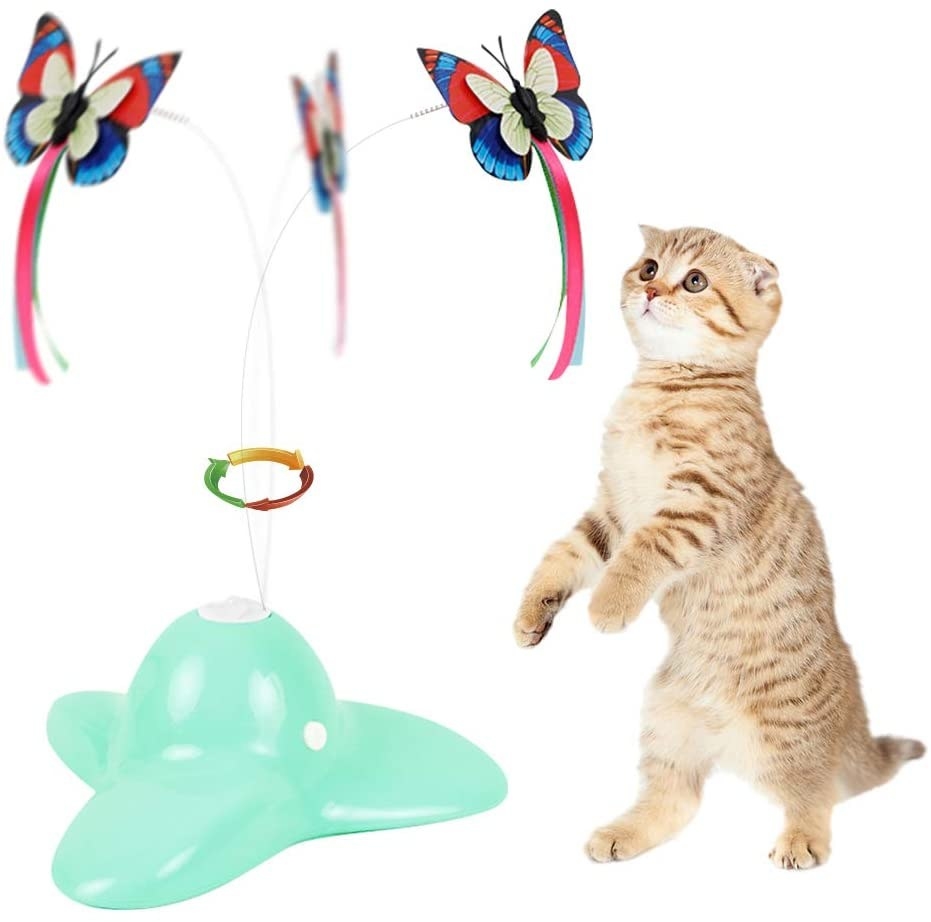 cat playing with the interactive toy