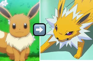 eevee, a cat-looking animated character, next to an animated-cat-like character with spiky hair