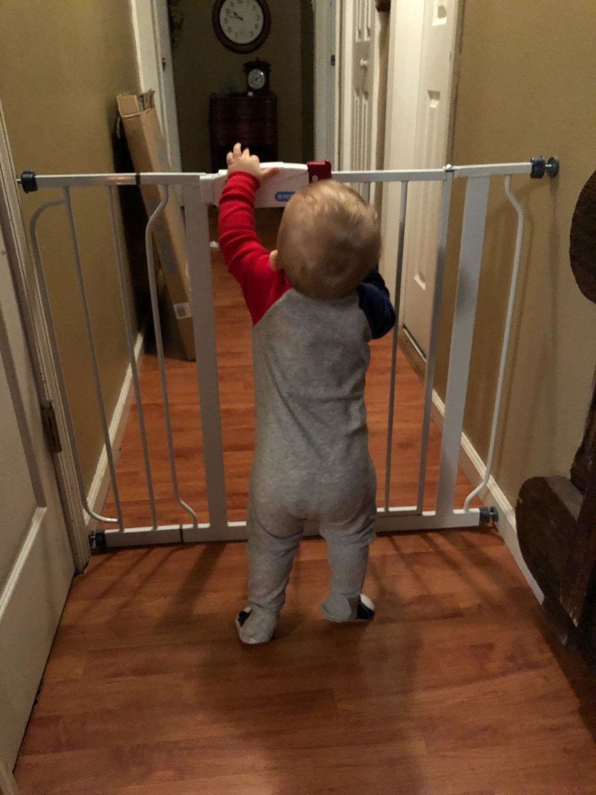 Inexpensive best sale baby gates