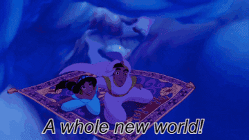 a gif of Jasmin and Aladdin in the movie &quot;Aladdin&quot; on a flying carpet singing &quot;A whole new world&quot;