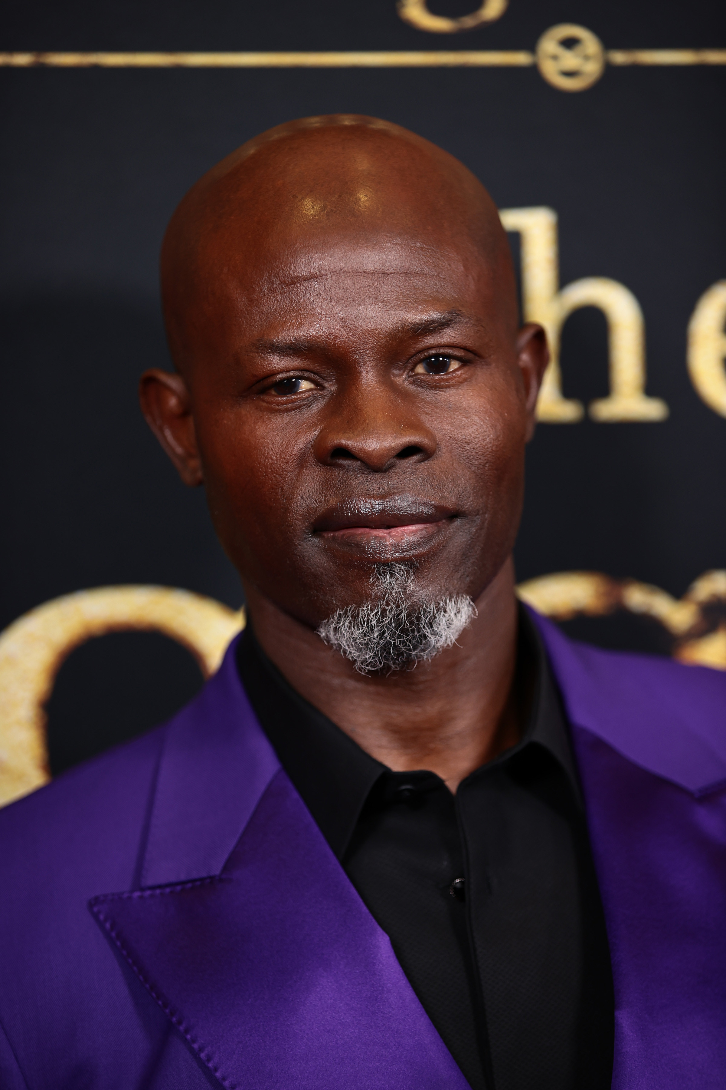 Djimon Hounsou