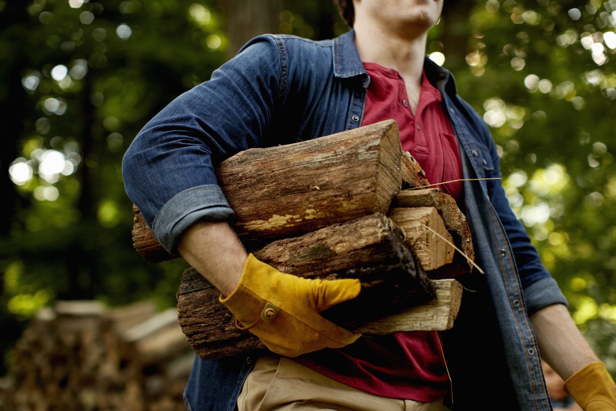 A person holding firewood