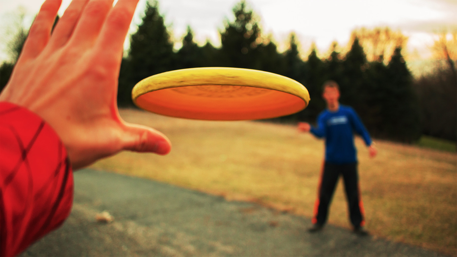 Two people throwing a frisbee in a park.