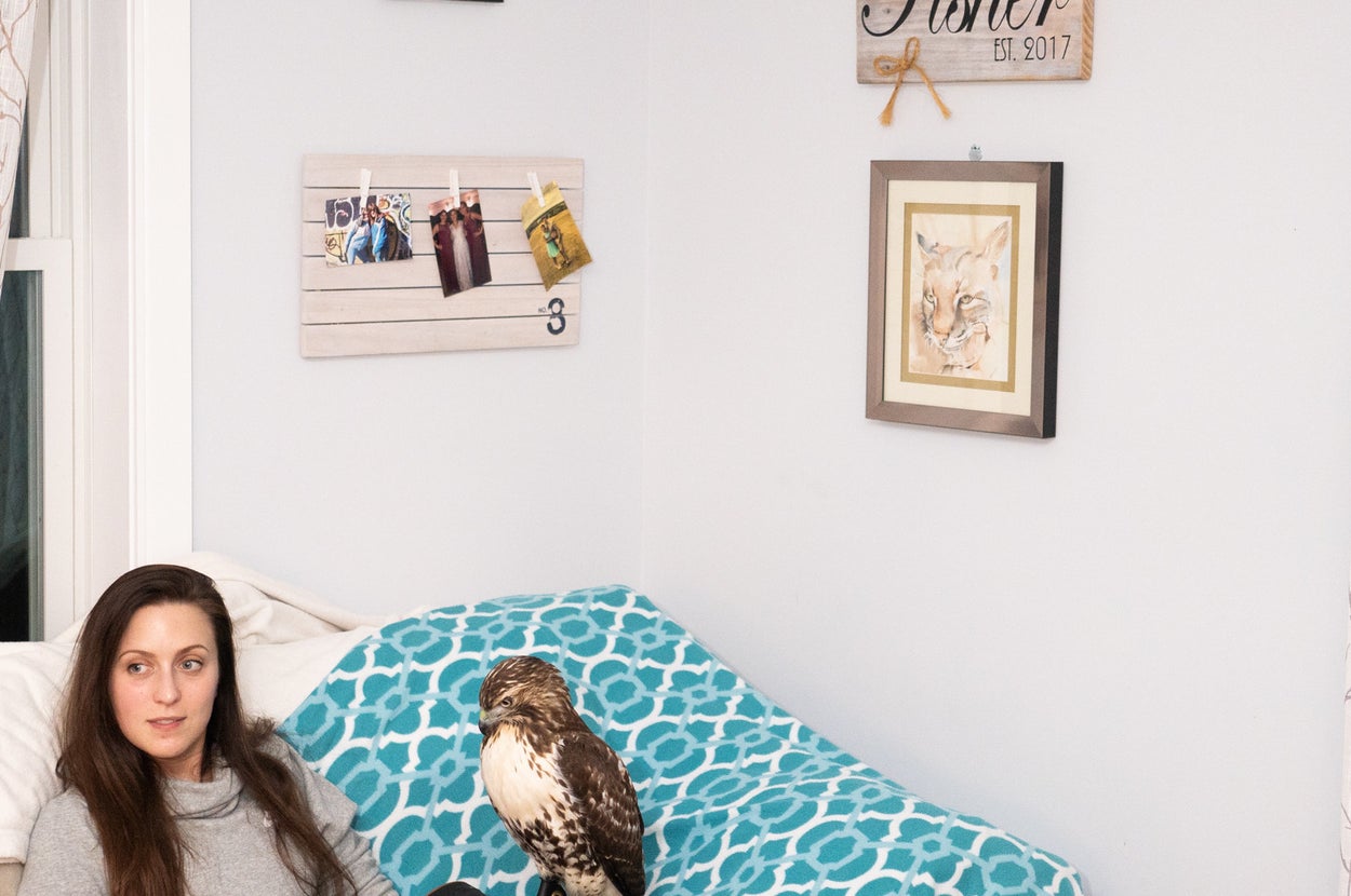 Women Falconers Unleash Their Hawks In This Incredible Photo Series