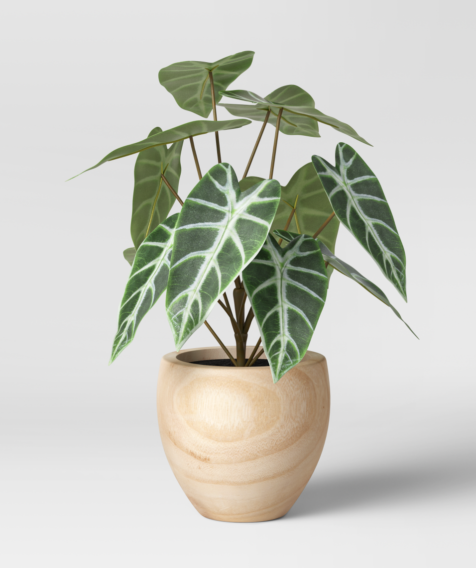 Plant in wood planter