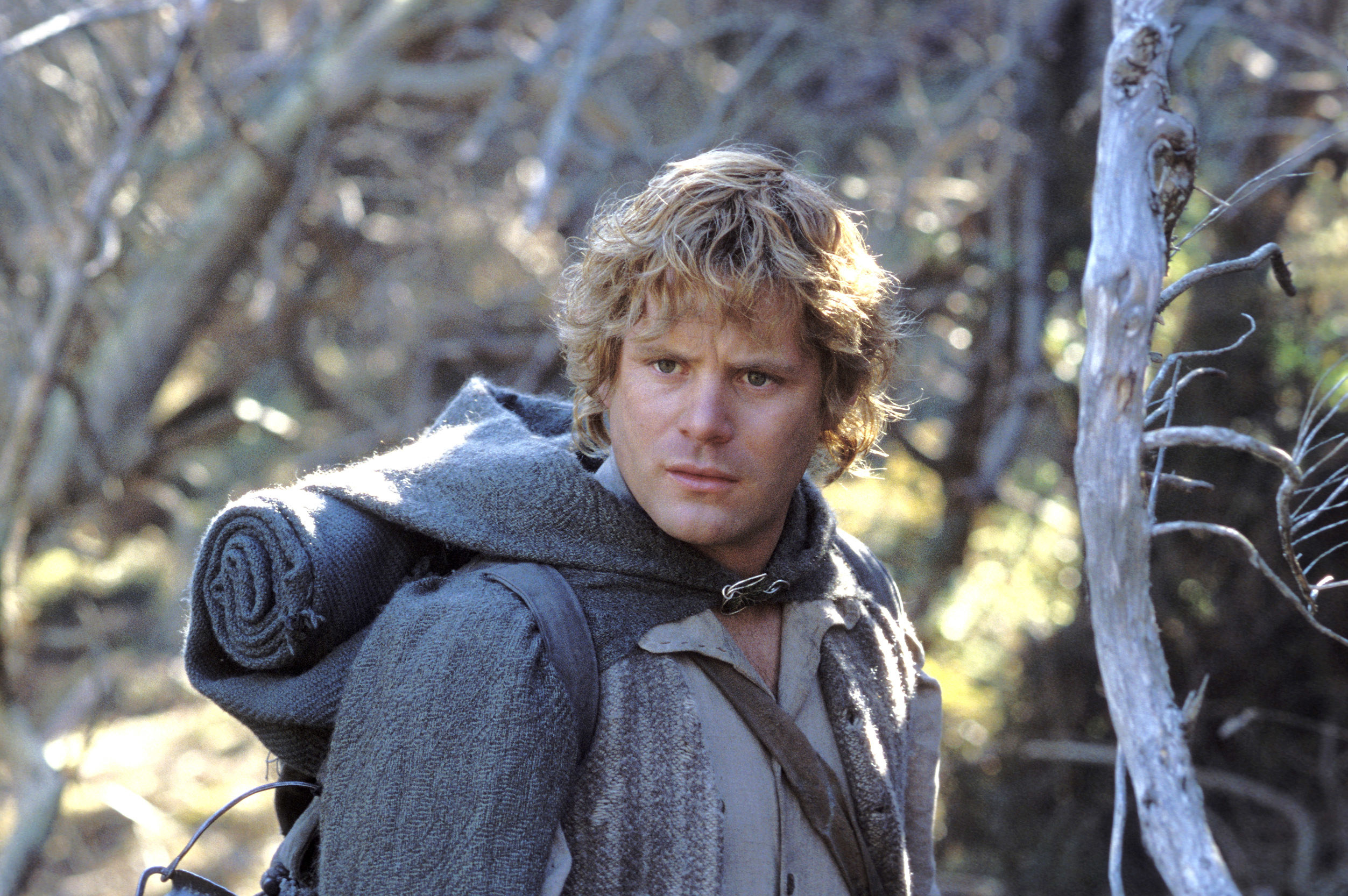 Sean Astin as Sam in &quot;The Fellowship of the Ring&quot;