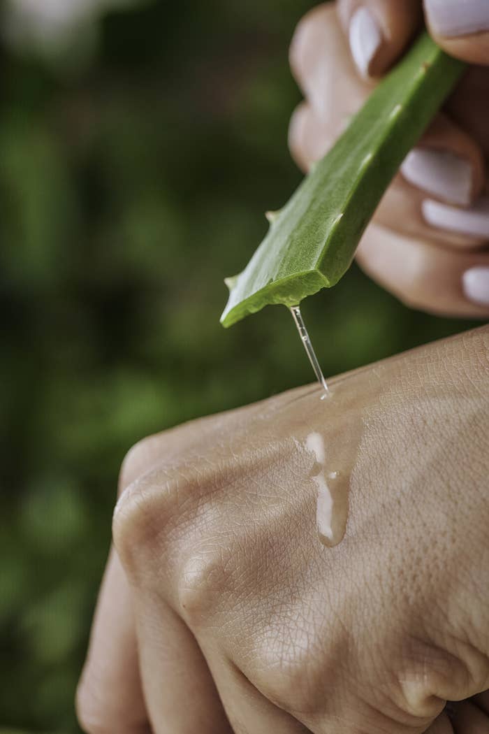 Close up of woman moisturizing her hands with aloe vera natural gel