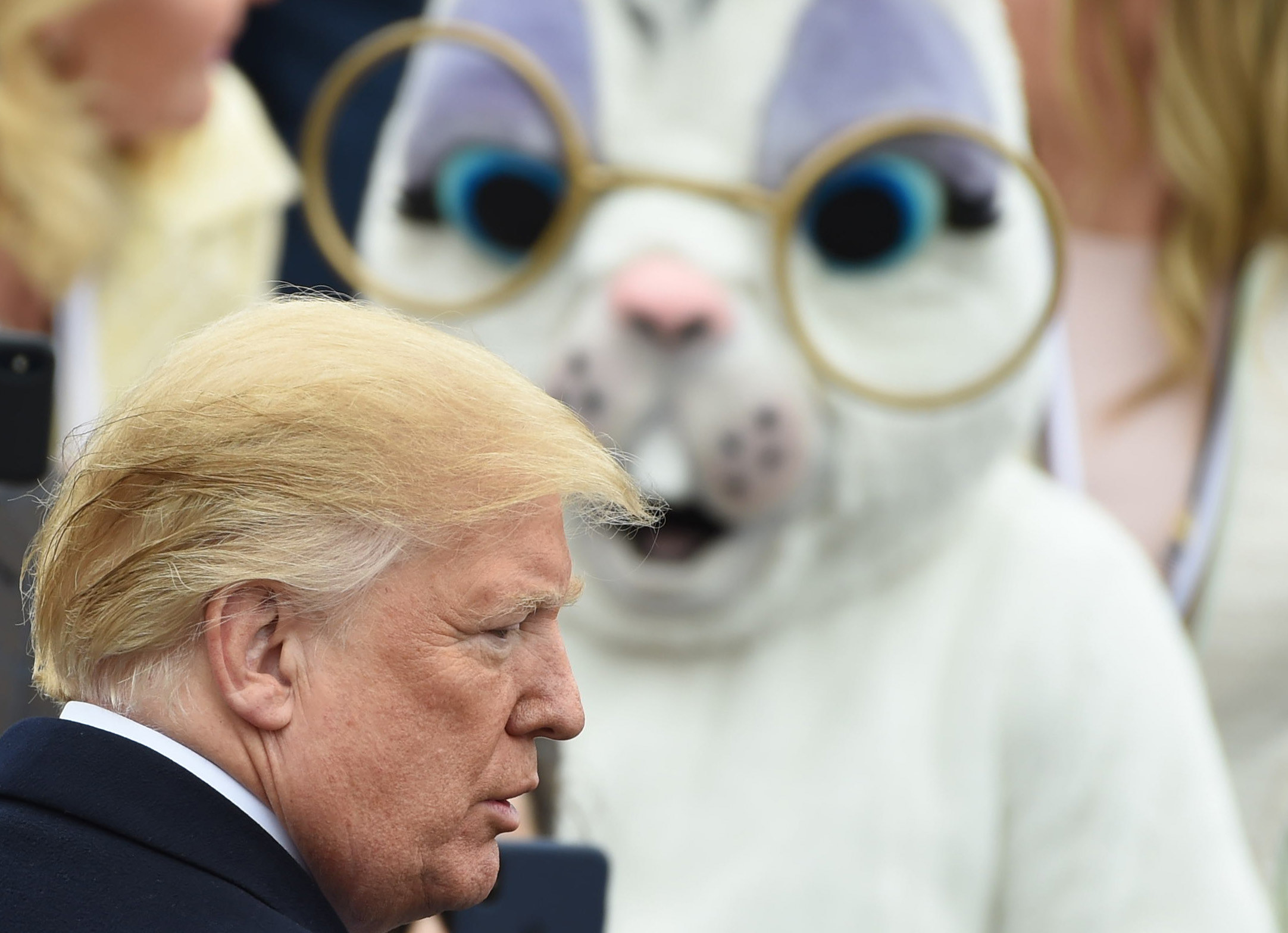 Trump is seen in the foreground and the shocked bunny is seen in the background