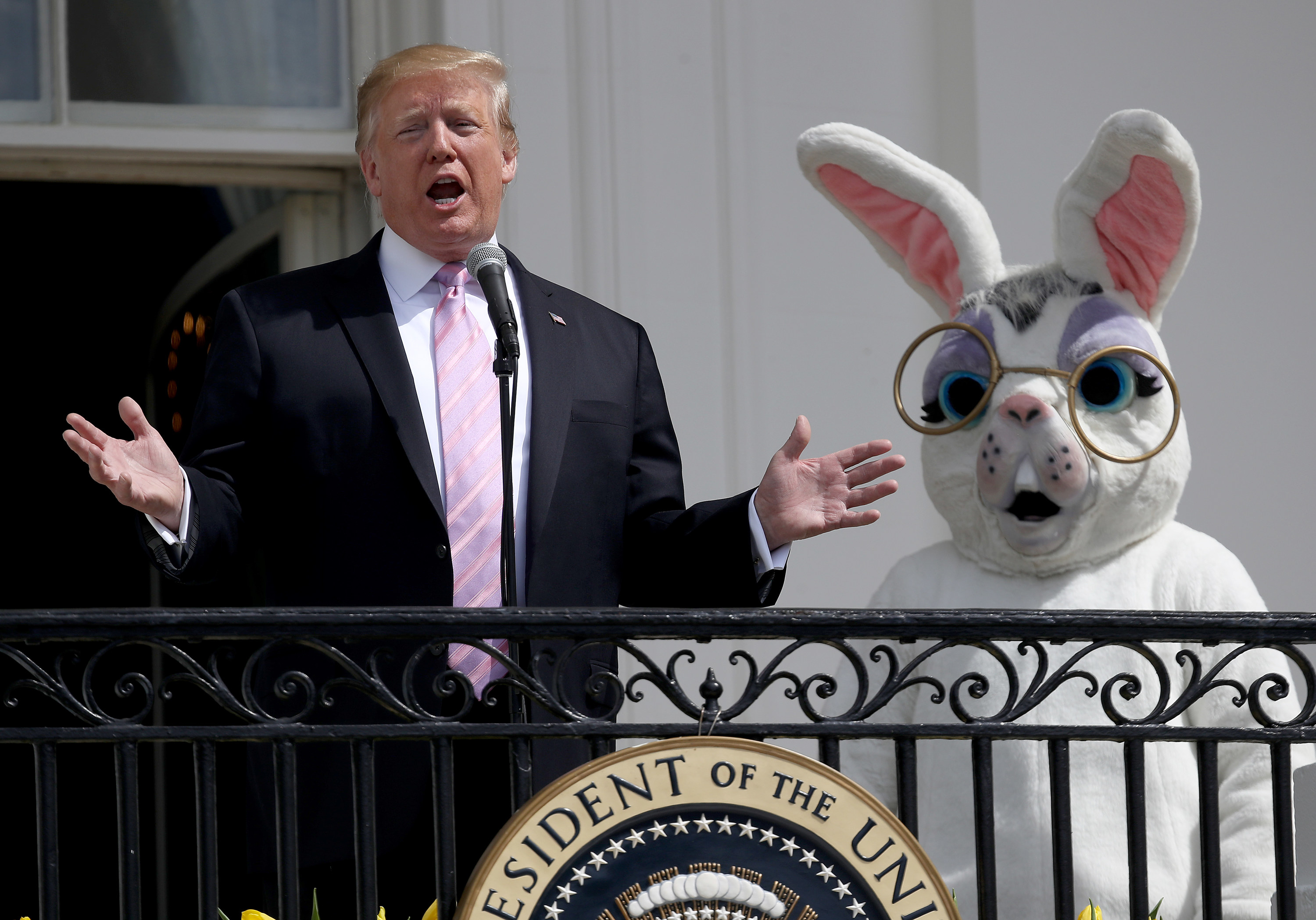 A bunny with a shocked face, mouth agape, watches Trump speak