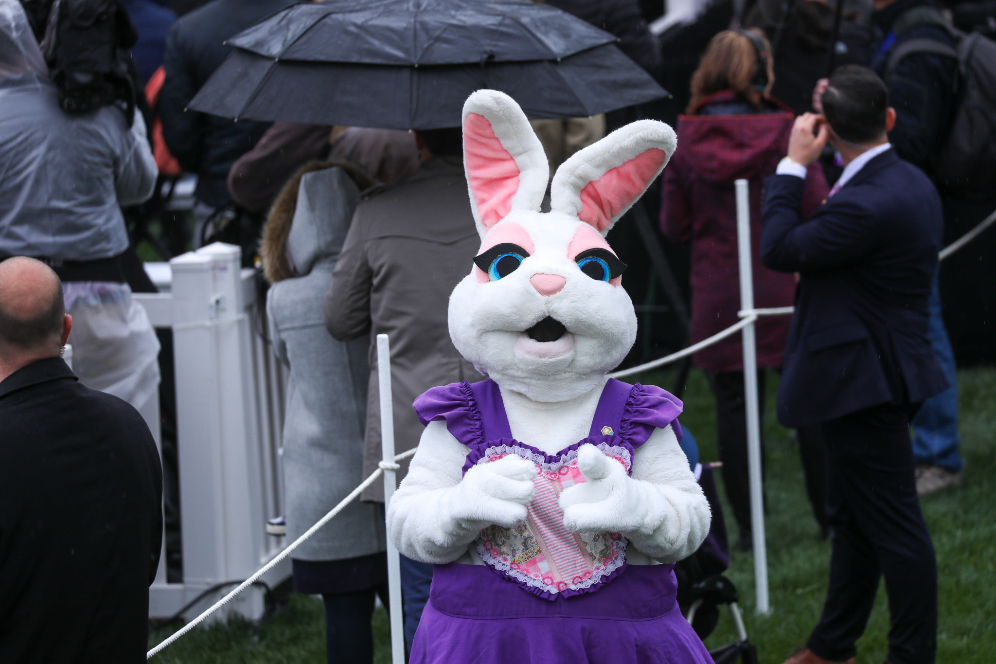 Childs Mr Rabbit Costume - I Love Fancy Dress