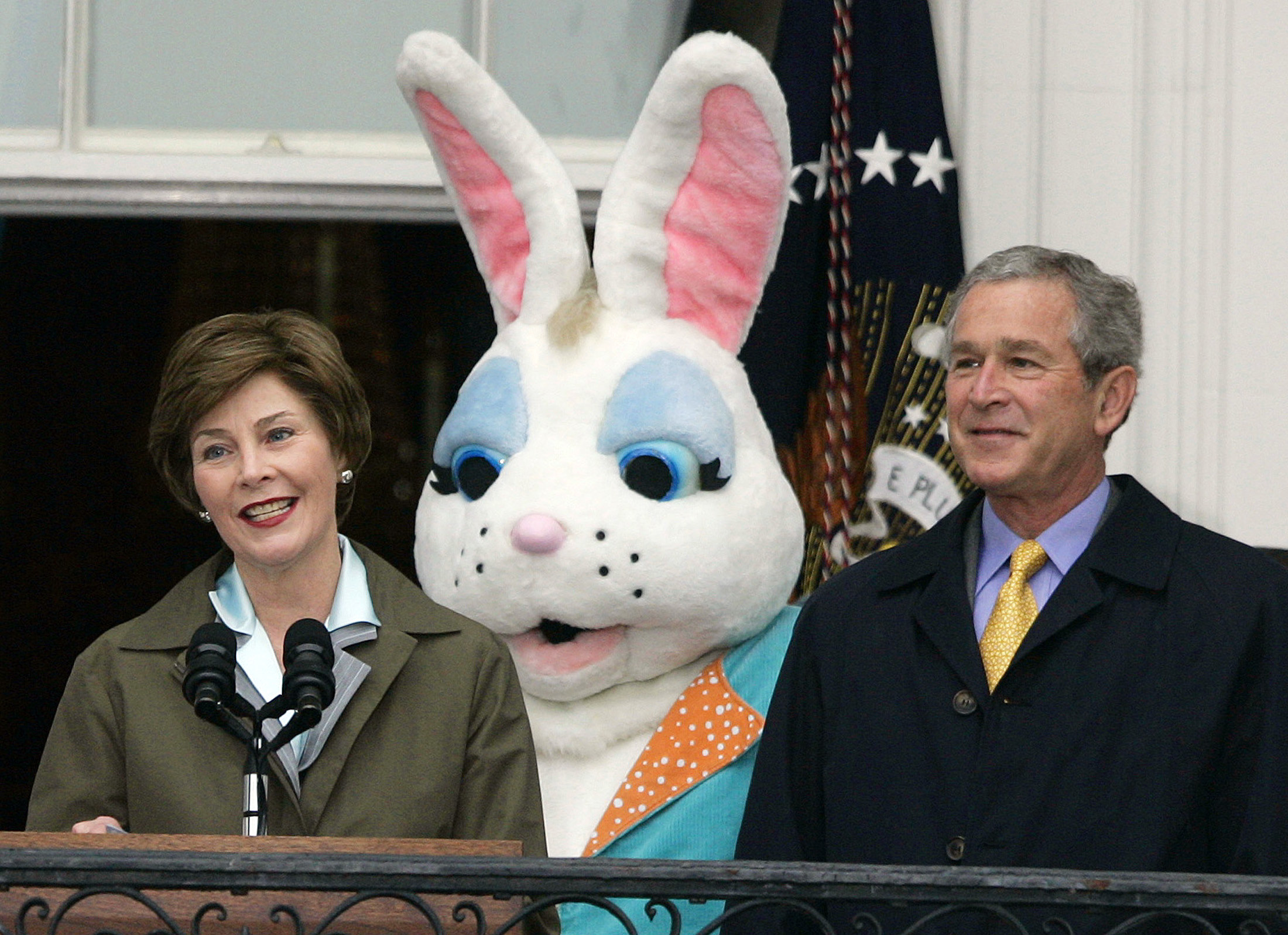 ABBA Bunny stands between the Bushes