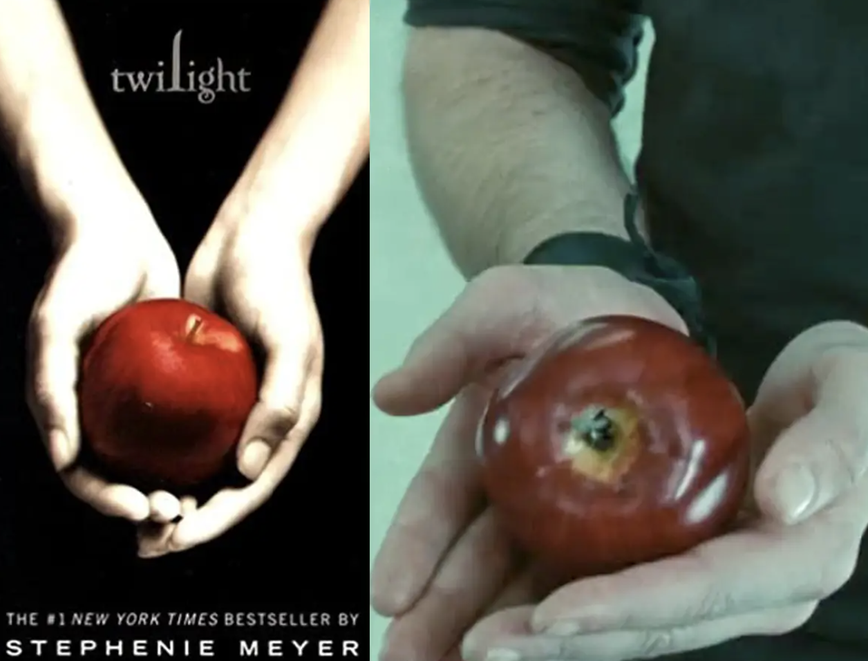 Comparison of the &quot;Twilight&quot; book cover with a scene from the film.