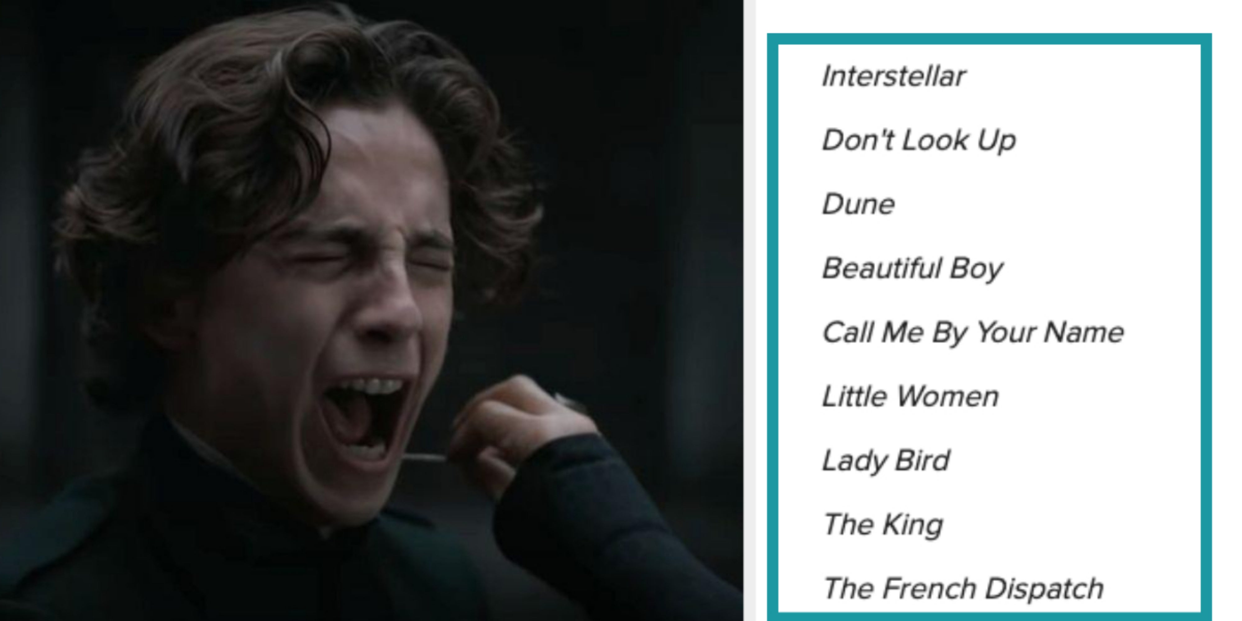 Timothée Chalame Movie Checklist Quiz - Vimarsana News