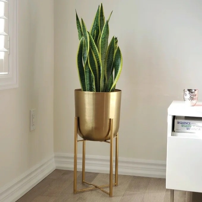 Gold planter stand with green plants in it