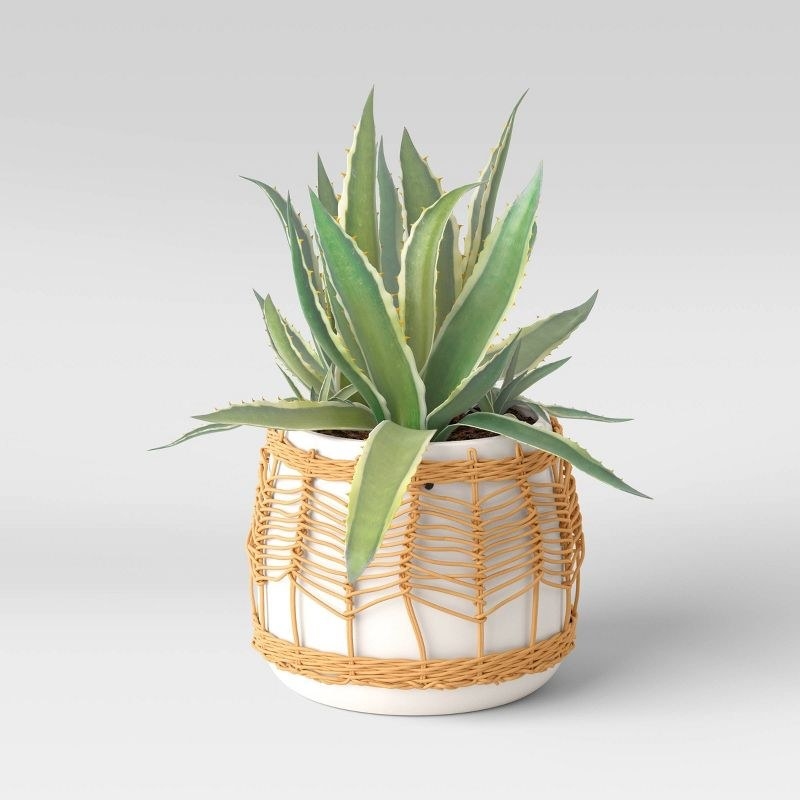 a white outdoor planter with spiked plant