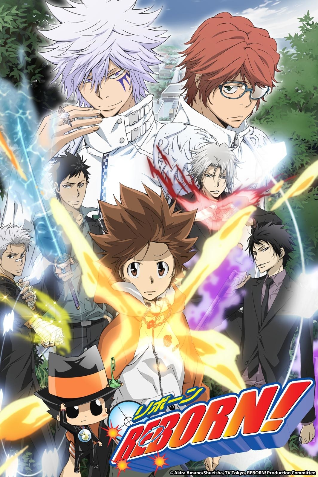 The poster for Katekyo Hitman REBORN with Tsuna Reborn Hayato Takeshi and others on the cover