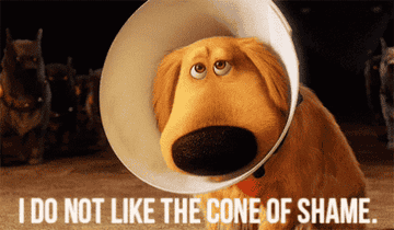 Dug wearing the cone of shame in Pixar&#x27;s &quot;Up&quot;